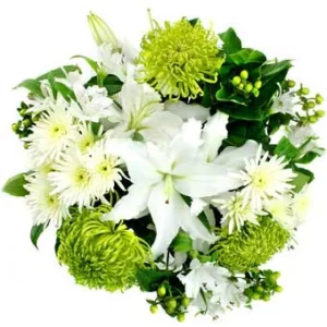 Нимфа Нимфа