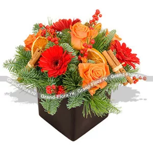 Оранжевое настроение Оранжевое настроение