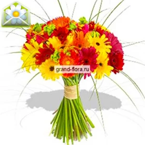 Веселые ребята  Веселые ребята